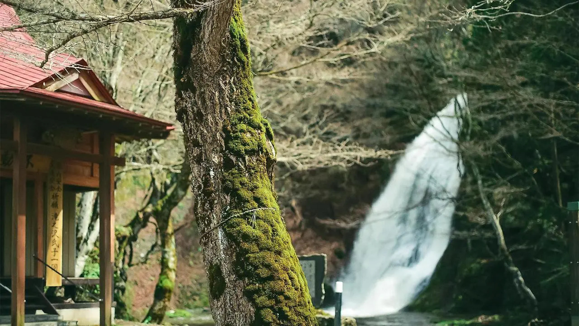 hotel yutoria fujisato