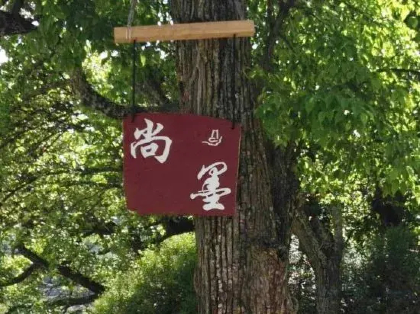 Shangmo Culture Theme Hotel