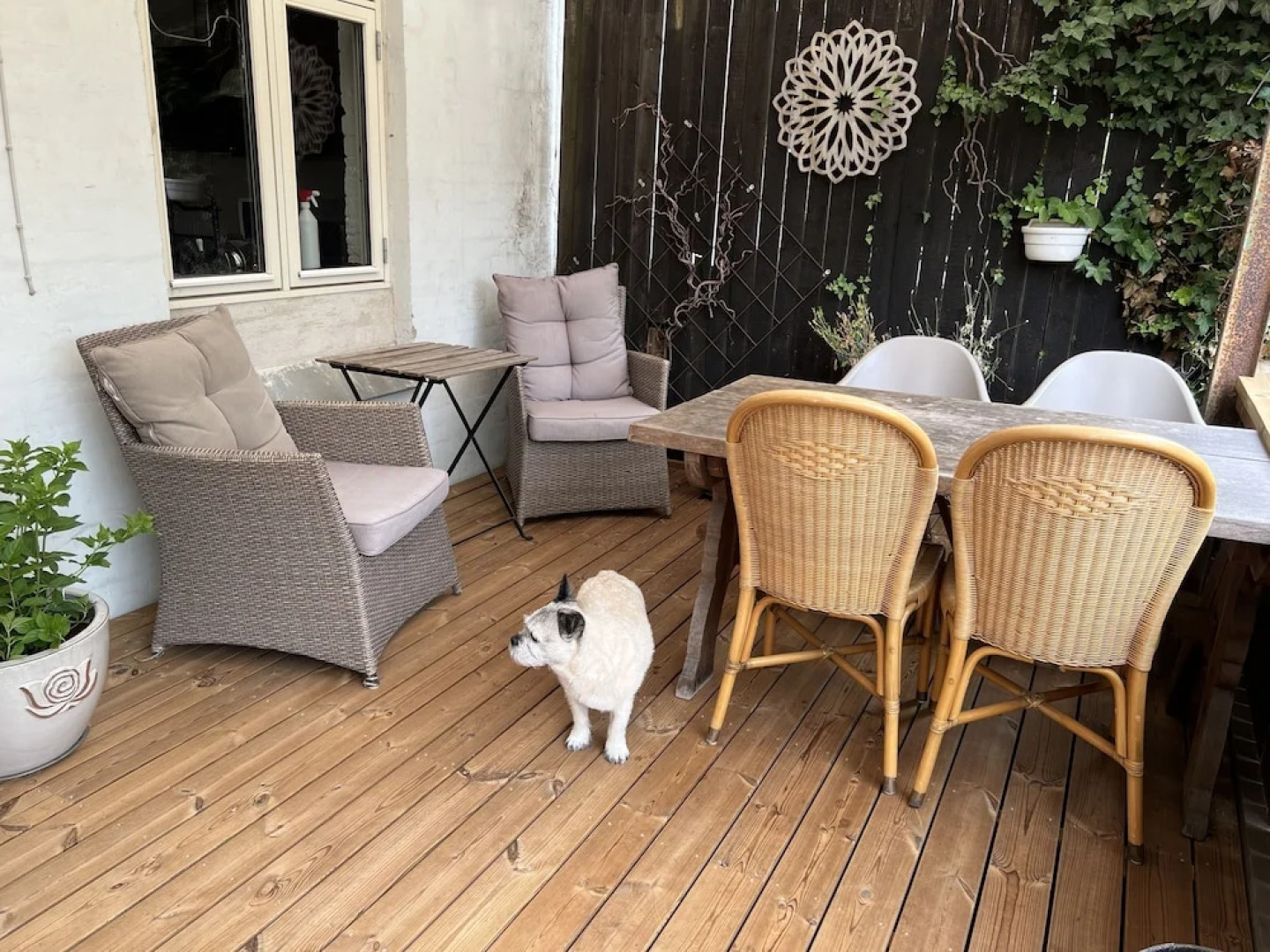 Davaa’S Bed and Breakfast