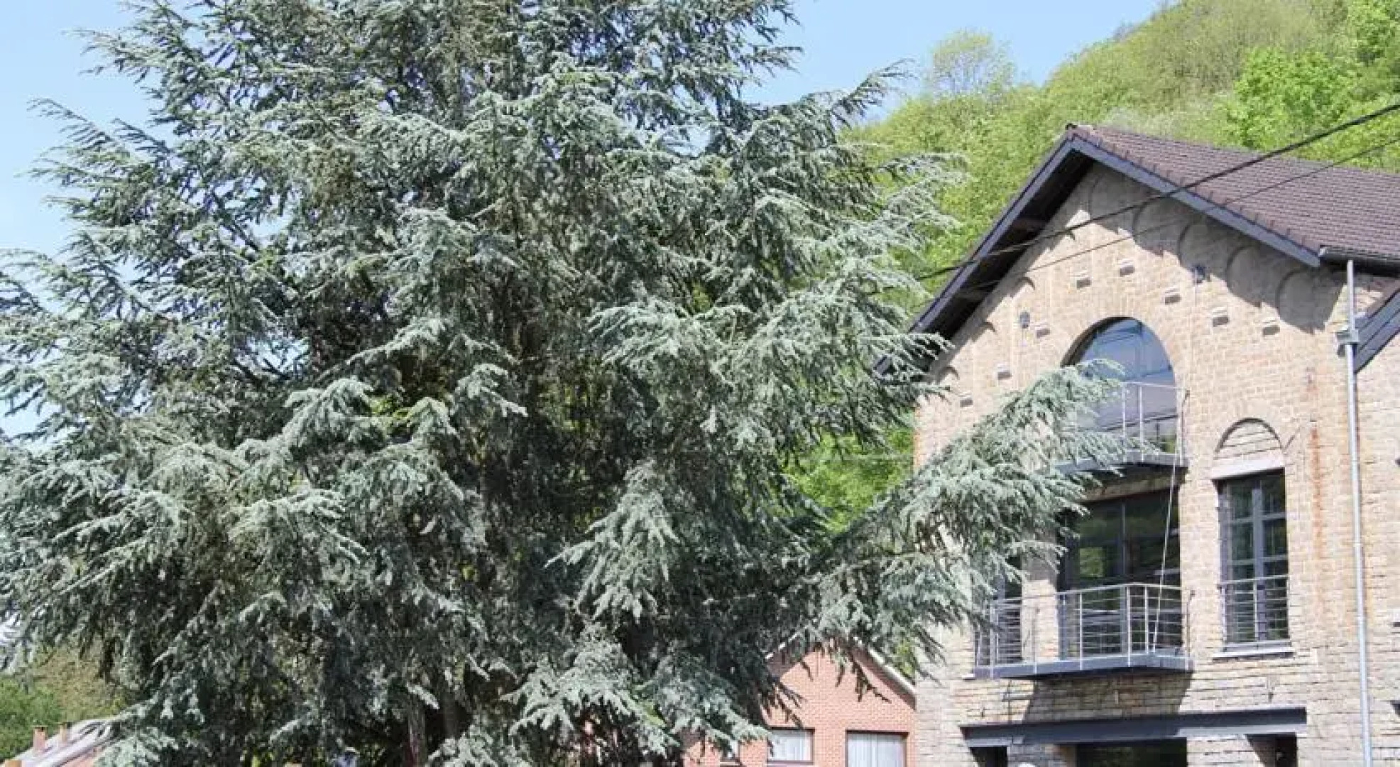 La Joubarbe dAywaille