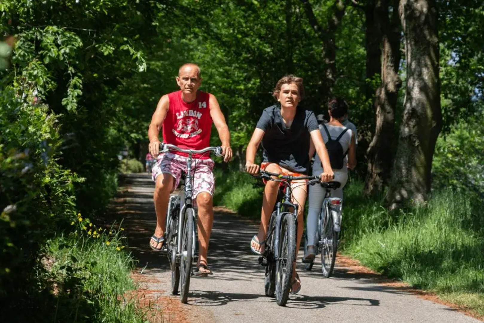 Chalet 't Rijsterbos op camping met zwembad!