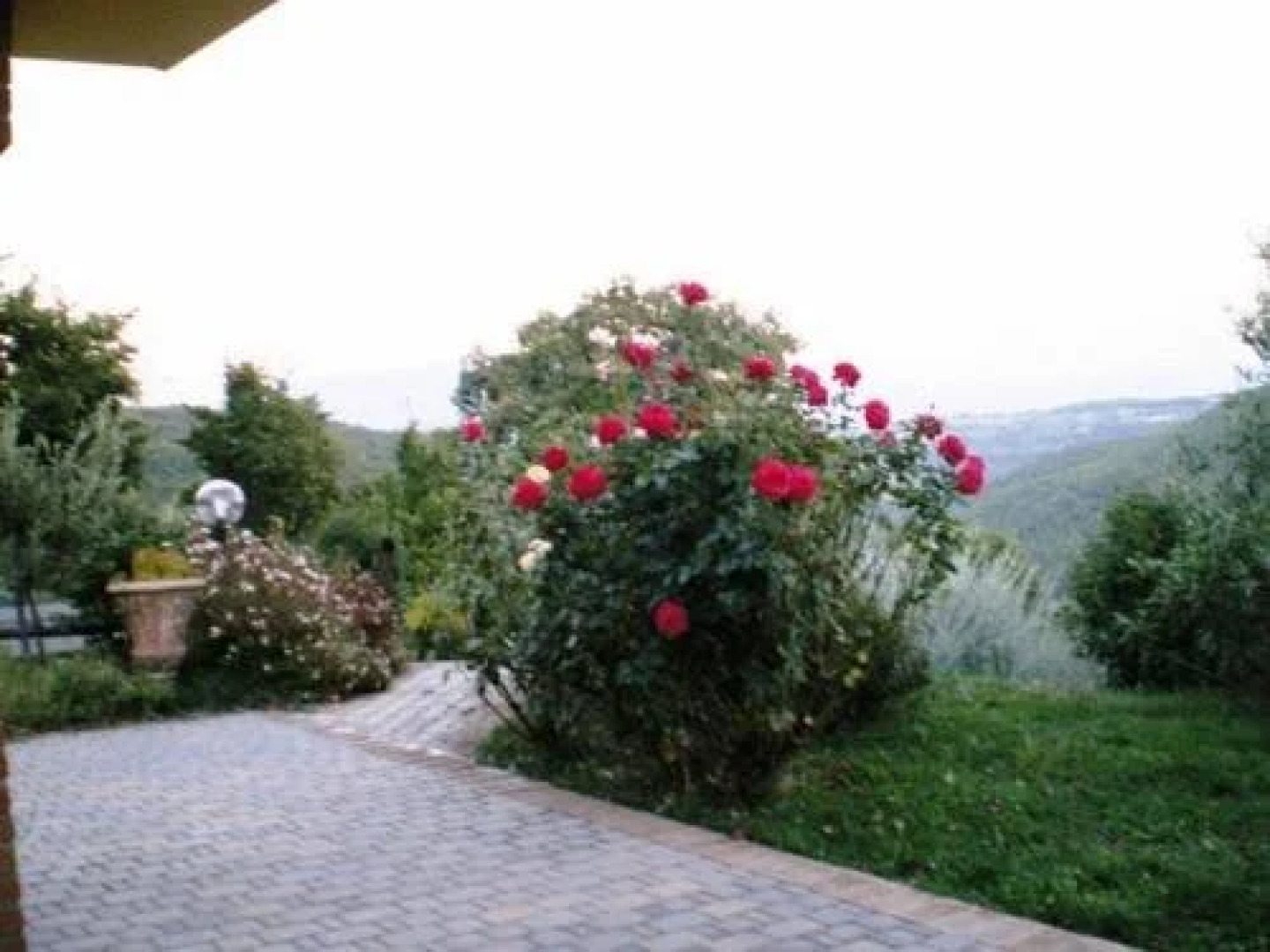 Colle Delle Ginestre