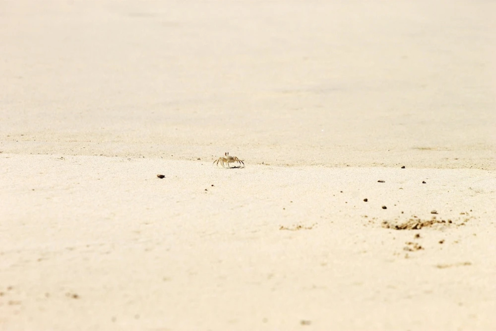 Apartment With one Bedroom in Sal Rei, With Wonderful sea View, Furnis