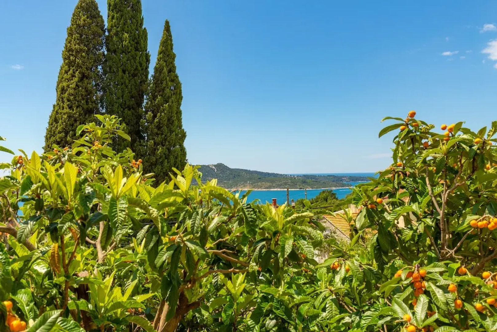 Summer Chill Apartment