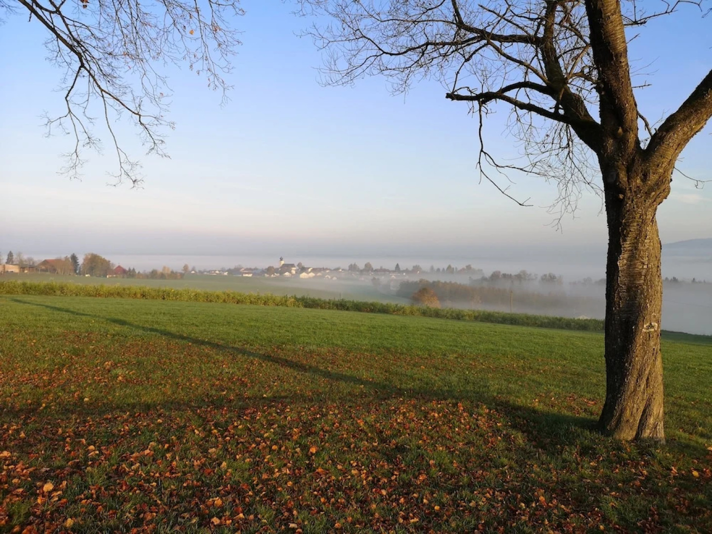 Landgasthof Zum Kirchenwirt