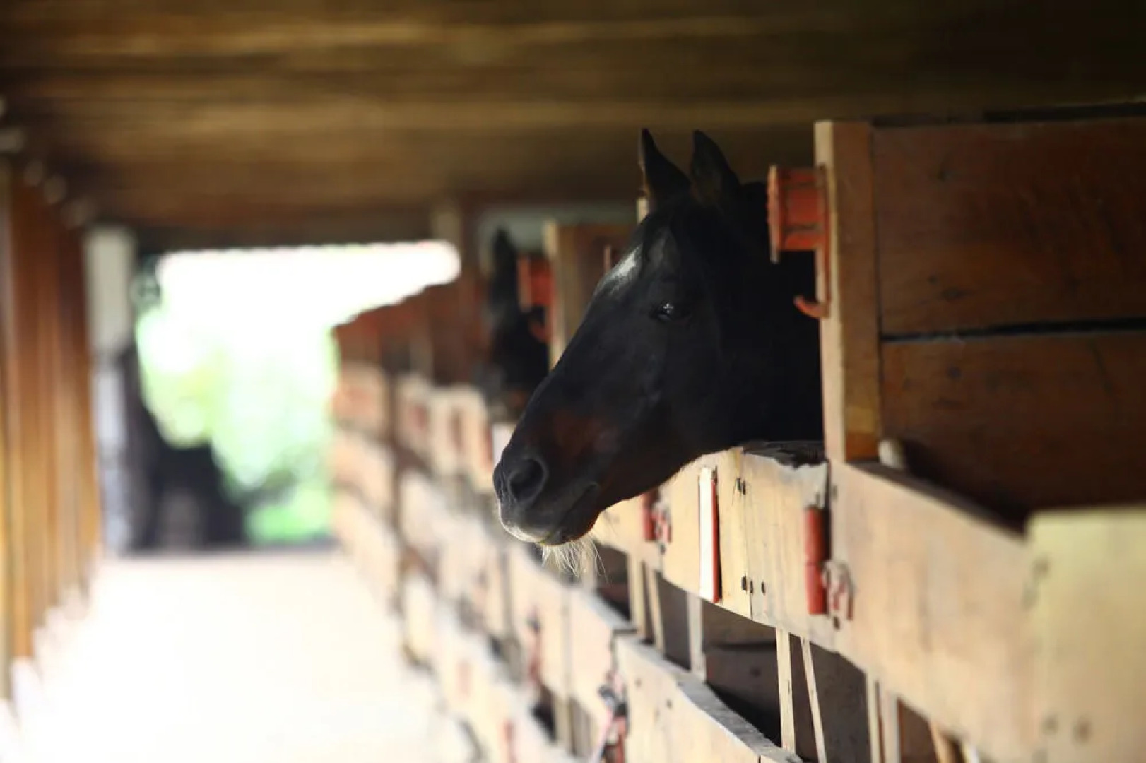 Hotel Hacienda los Lingues