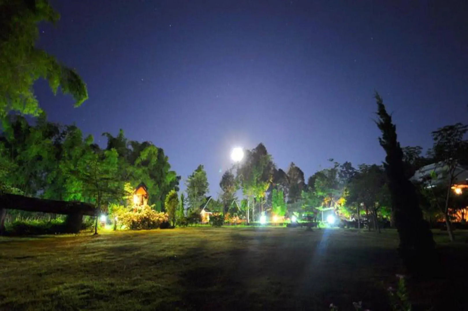 Phuphiangkhiangfah Resort