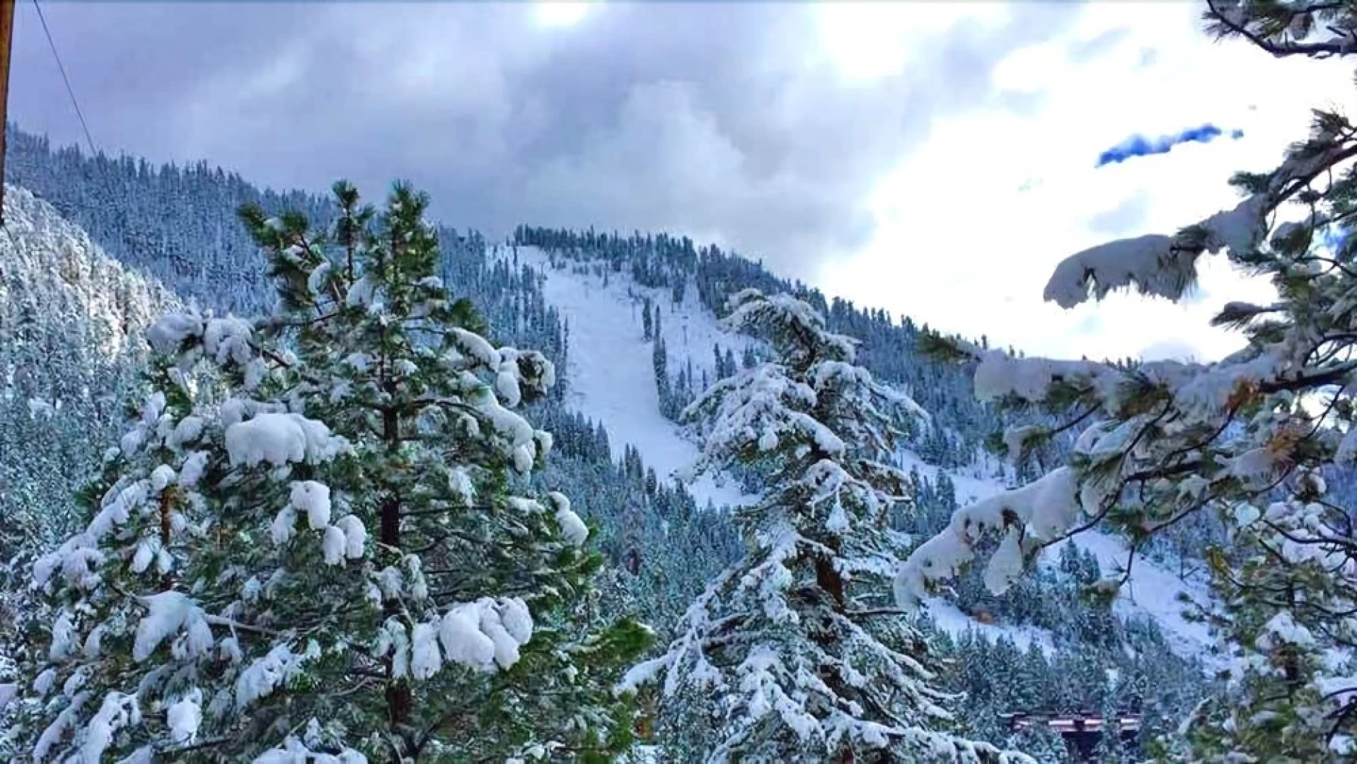 3857 Figueroa Lane 3 Bedrooms 3 Bathrooms Home by Redawning