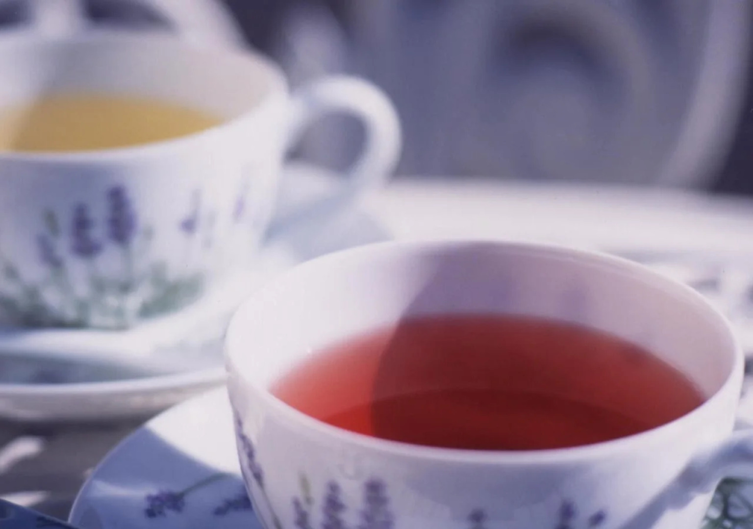 Kawaguchiko Lakeside Hotel