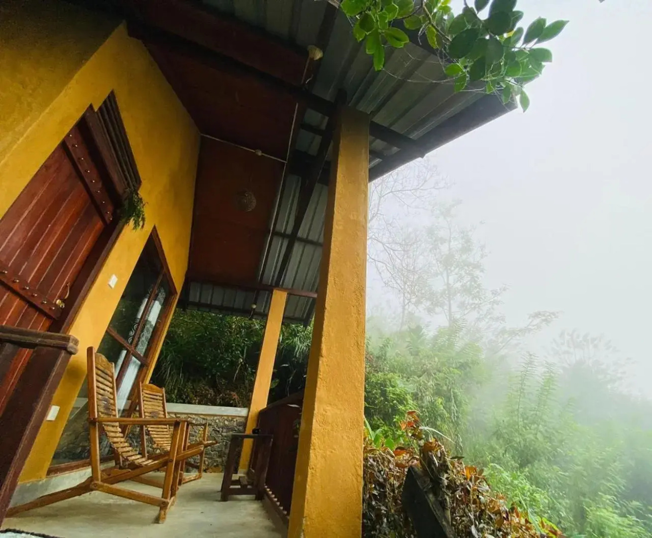 Rainforest Nature House