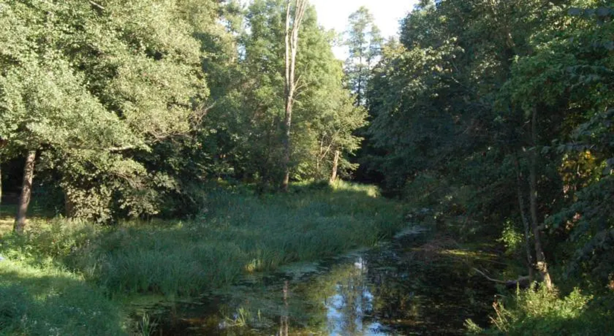 Stara Papiernia Zielony Lasek