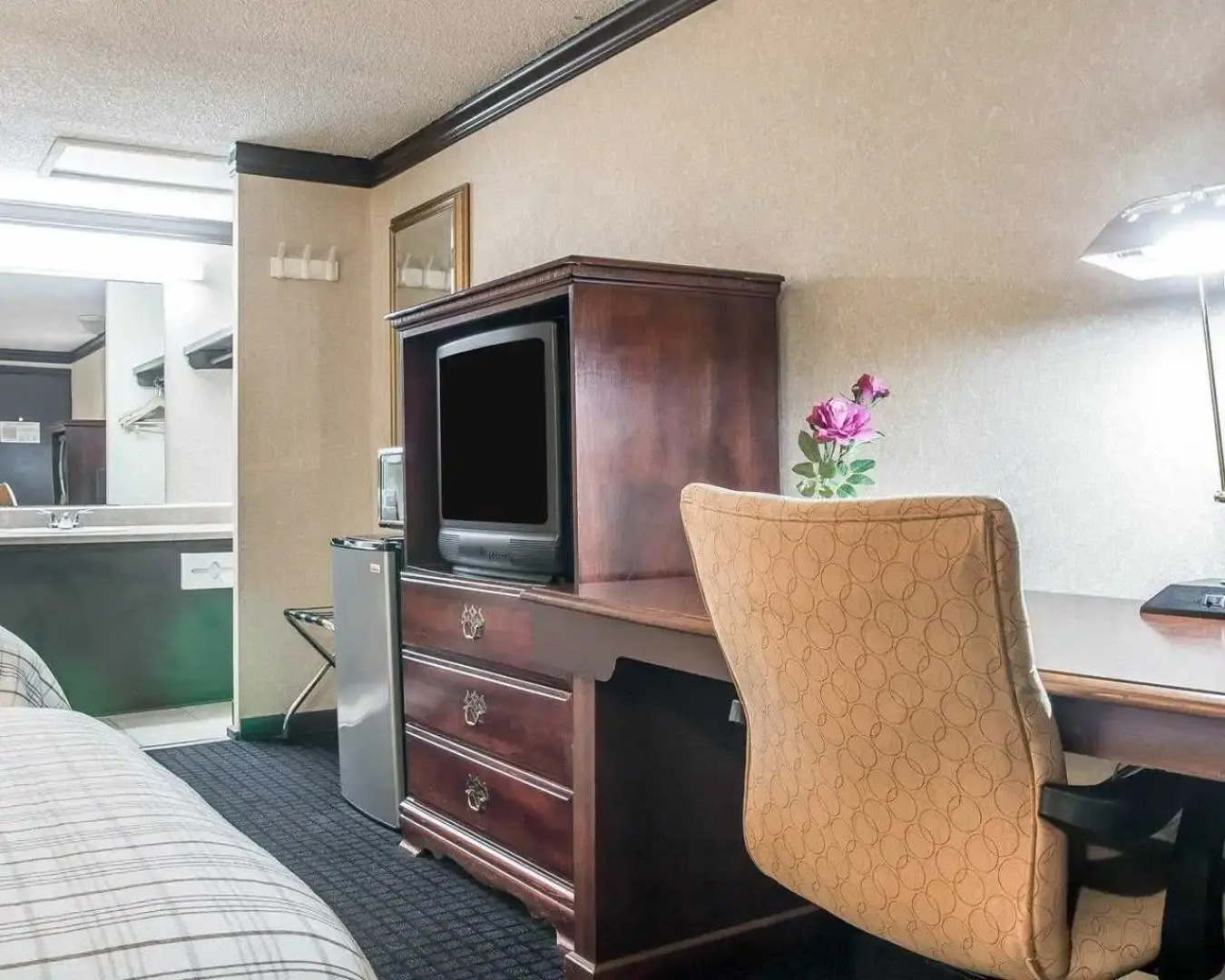 Rodeway Inn Metro Airport