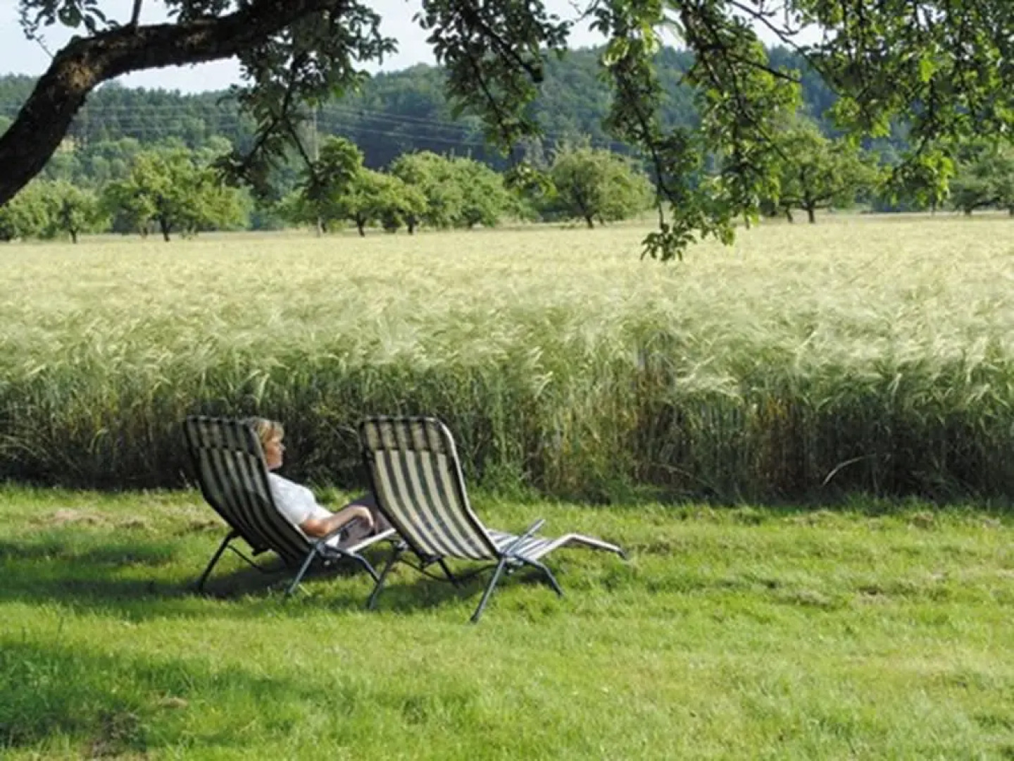 Landhotel-Restaurant Adler