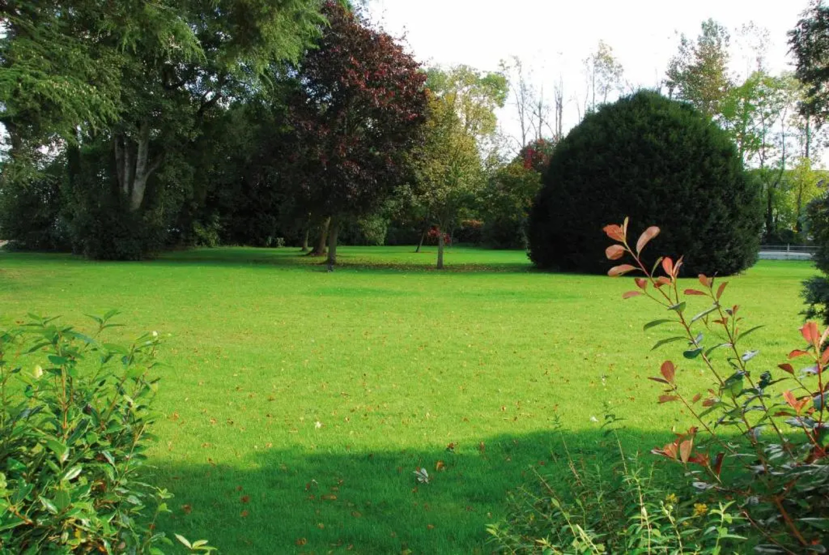 Roganstown Hotel & Country Club