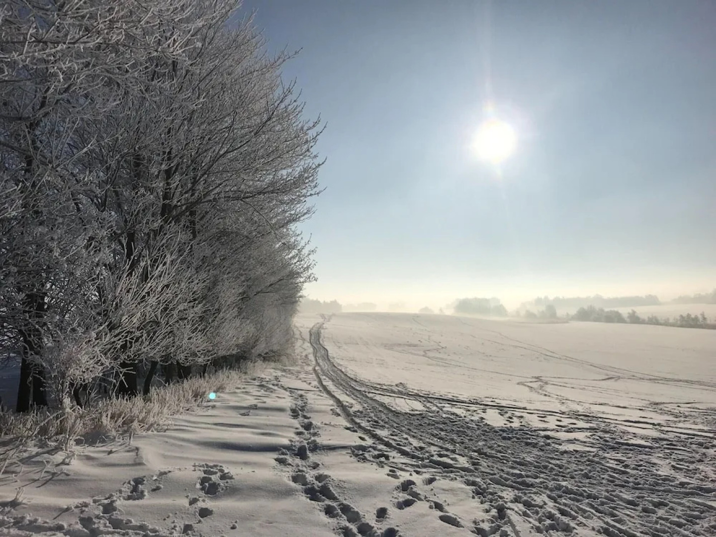 Peaceful Garden Stay