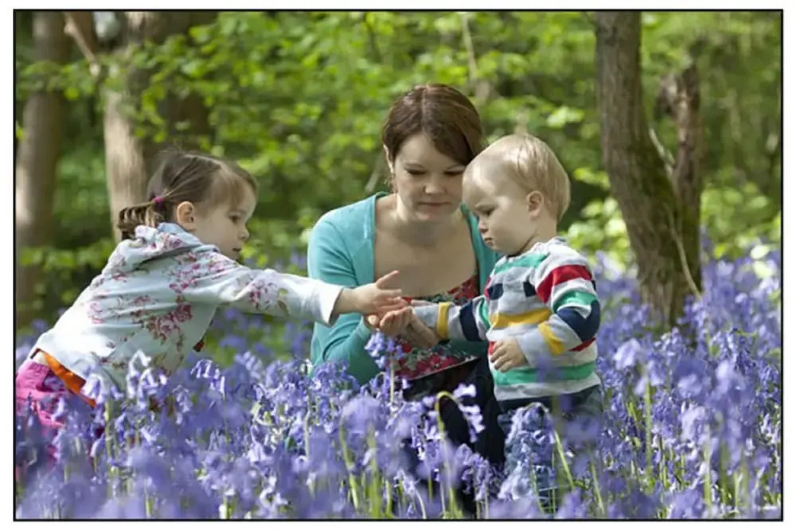 Converted Farm Buildings in 250acre Nature Reserve