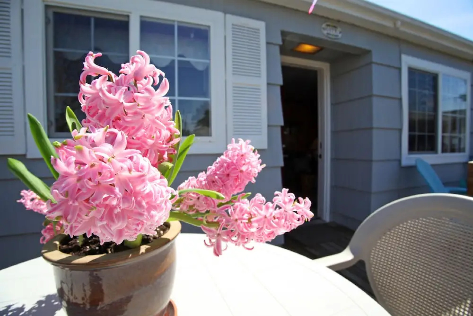 Paradise Suites & Rental