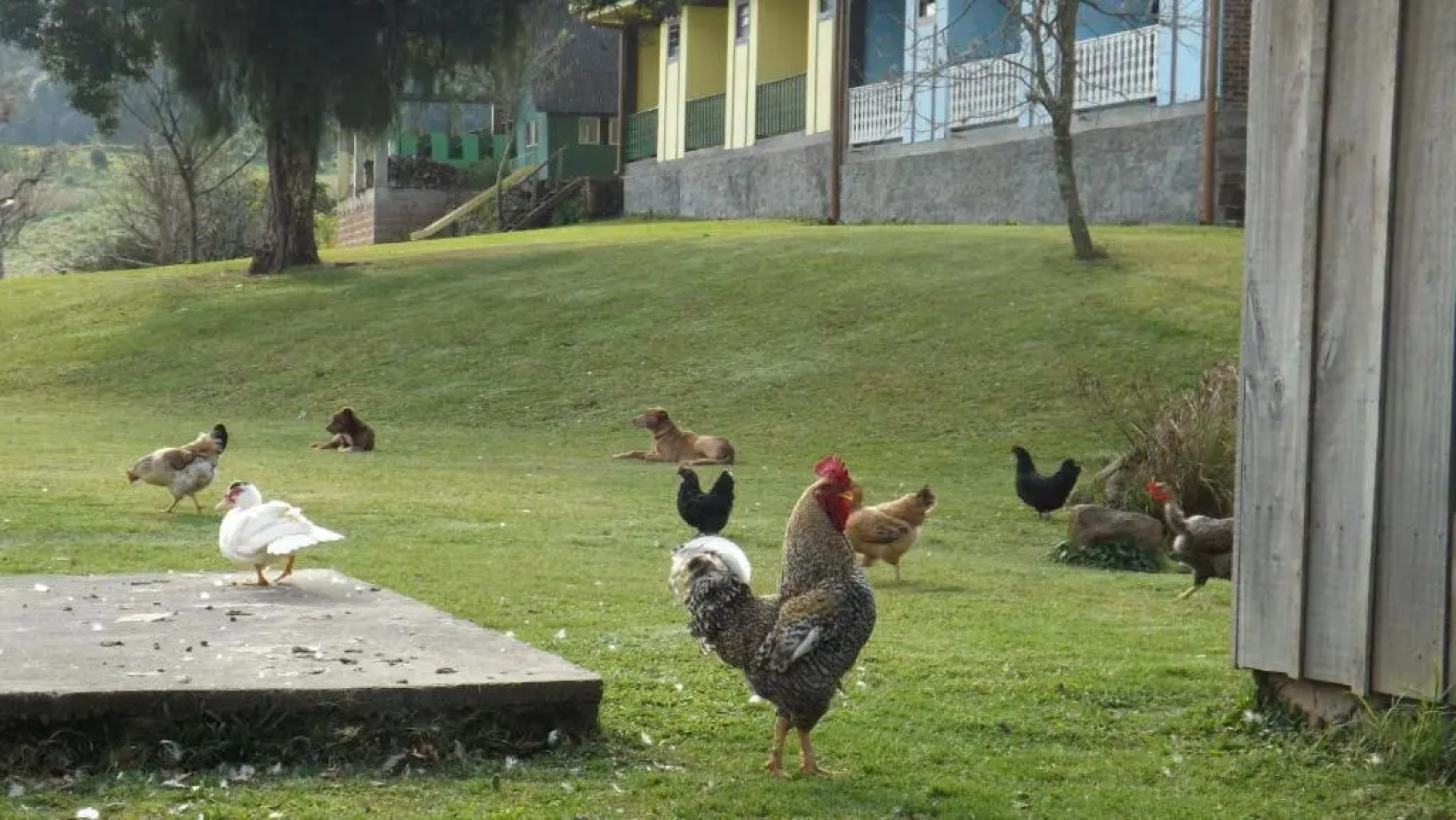 Recanto dos Pioneiros