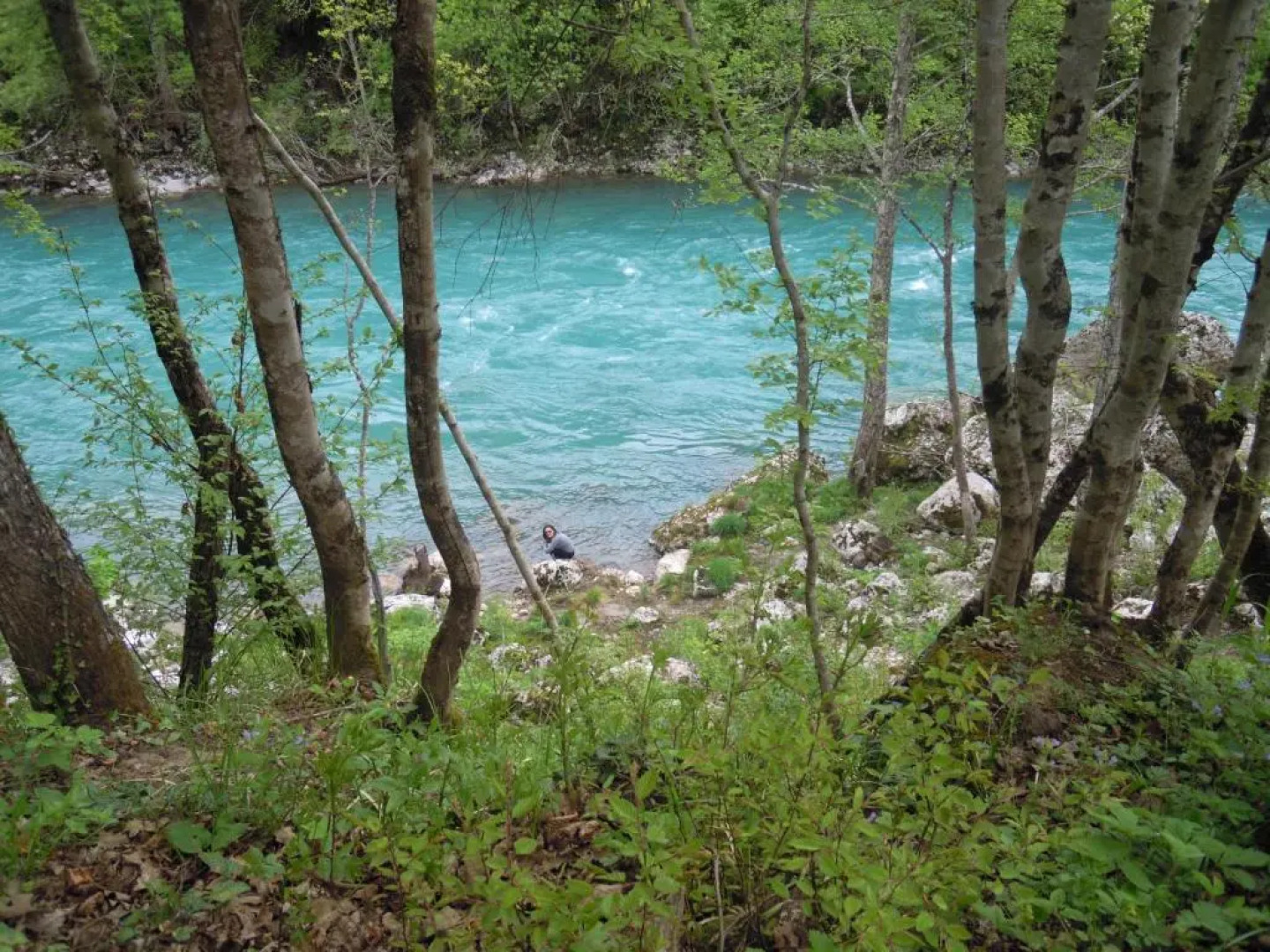 Rafting Camp Green Tara