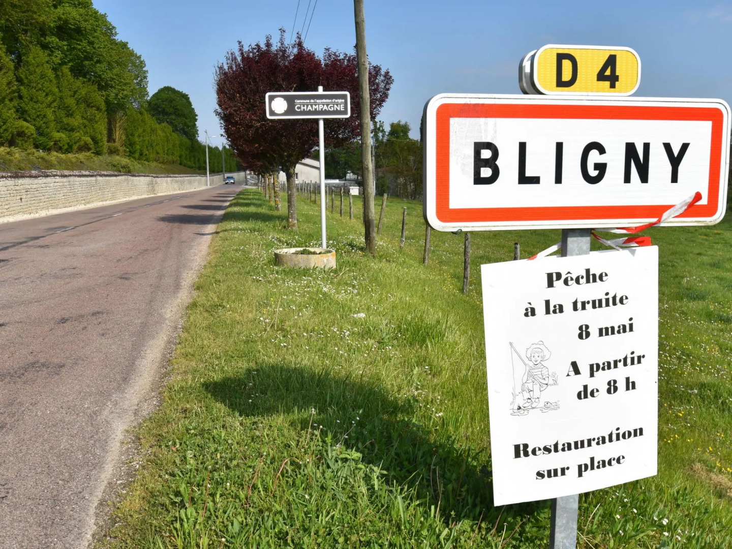 Romantic Gîte in Quiet Village for Champagne Lovers