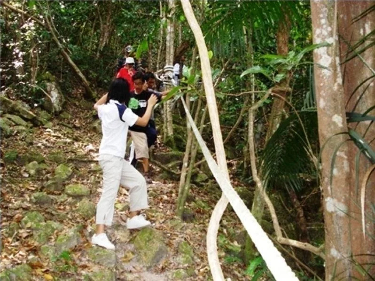 Sibu Island Resort Johor