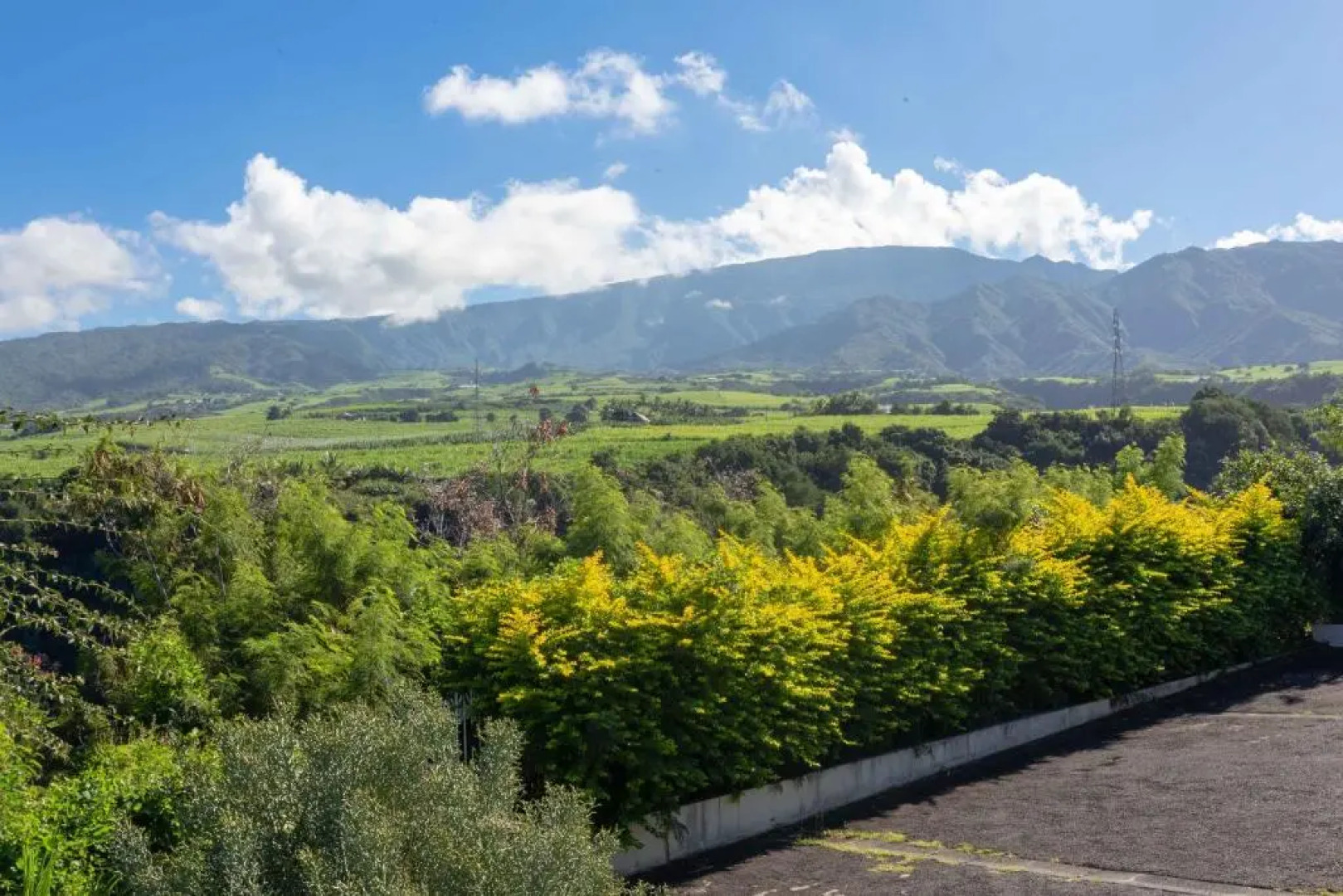Le Paille en Queue Résidence Touristique