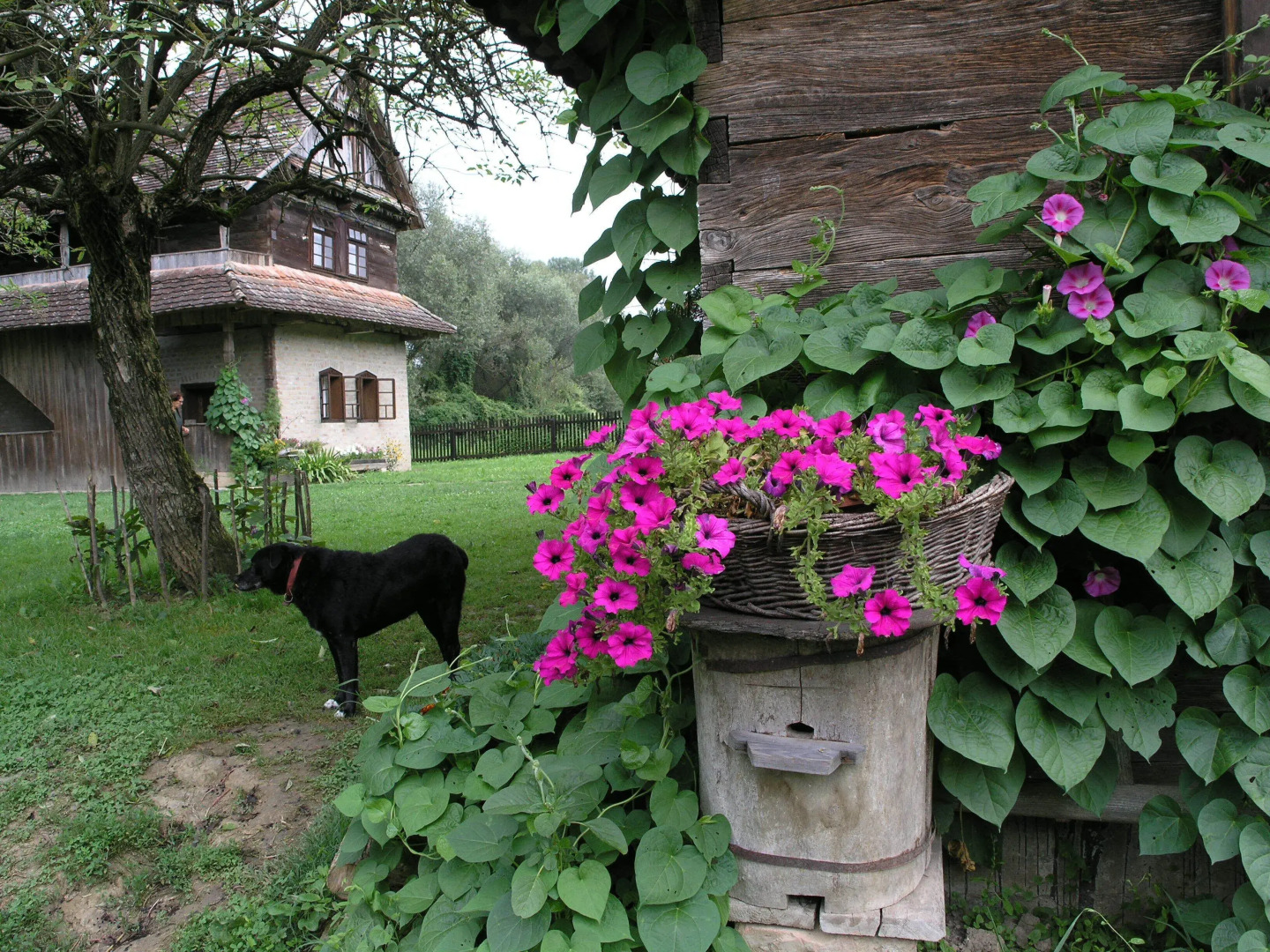 Ethno Village Stara Lonja