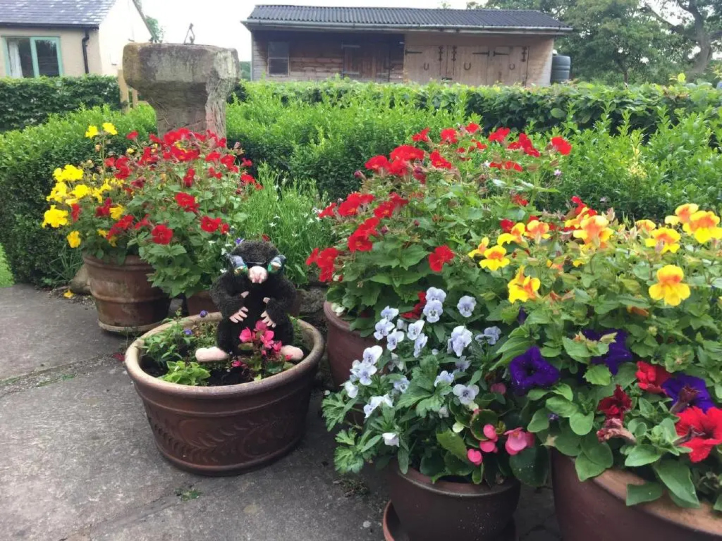 The Shepherd's Hut with seasonal Swimming Pool