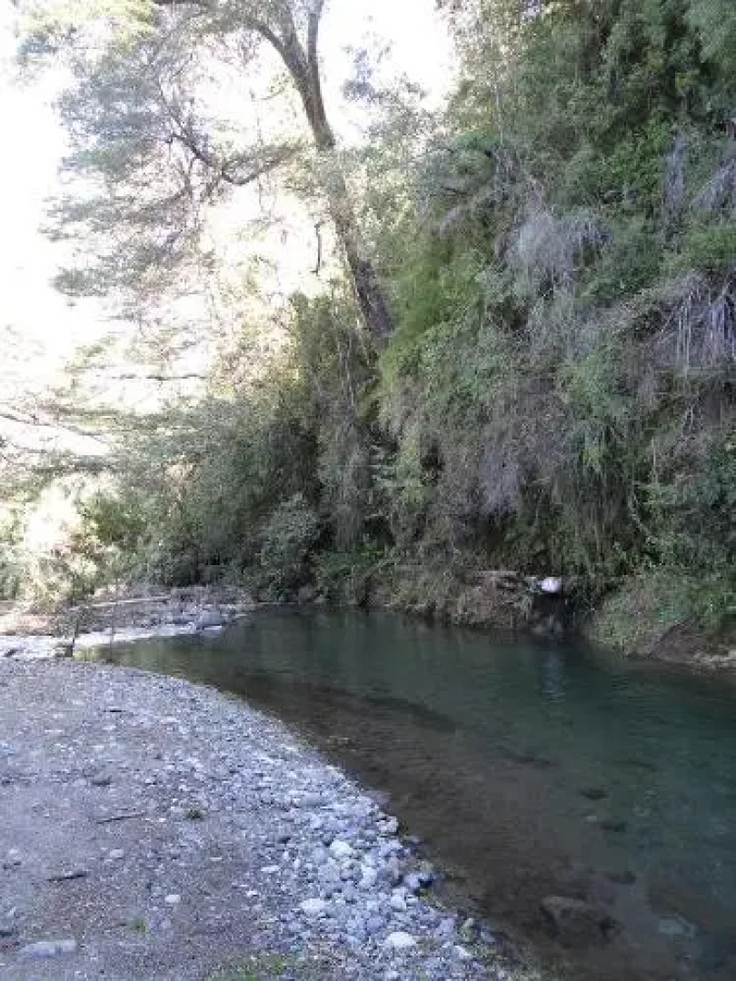 Cabañas Los Maquis 7 Tazas