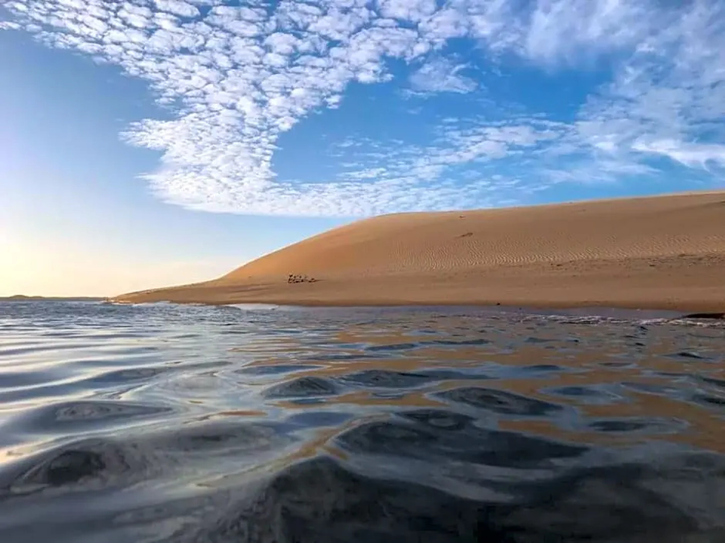 Quarto compartilhado - Tropicália's house