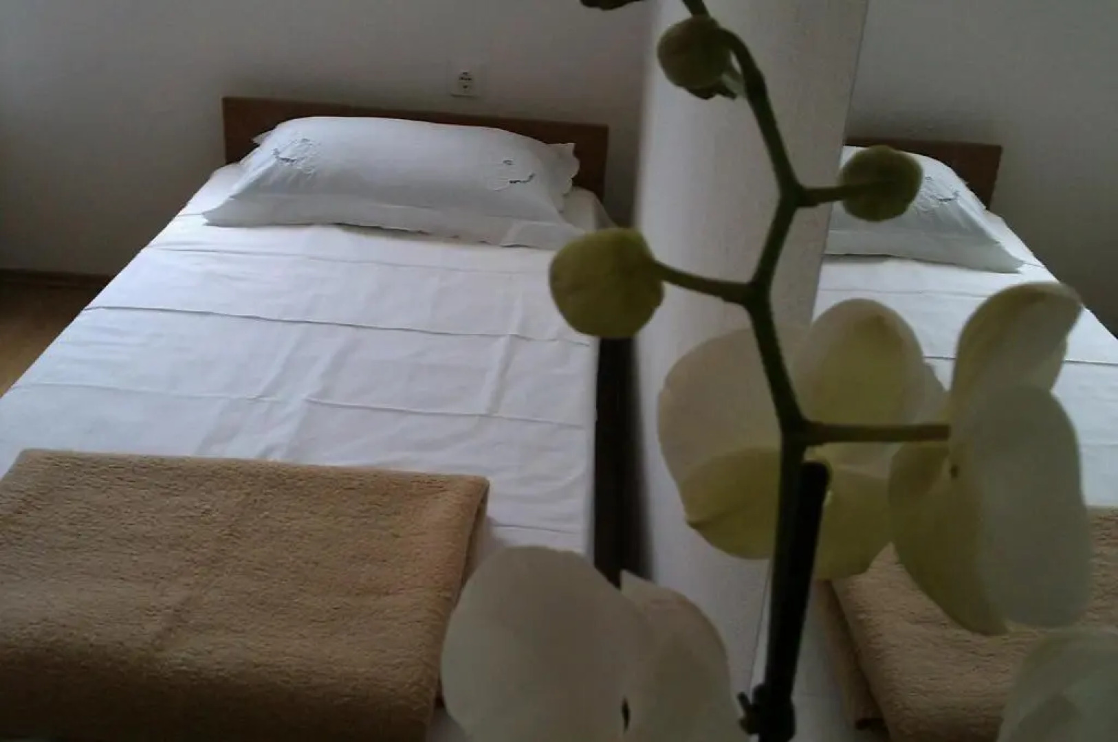 Holiday Home Oliveta