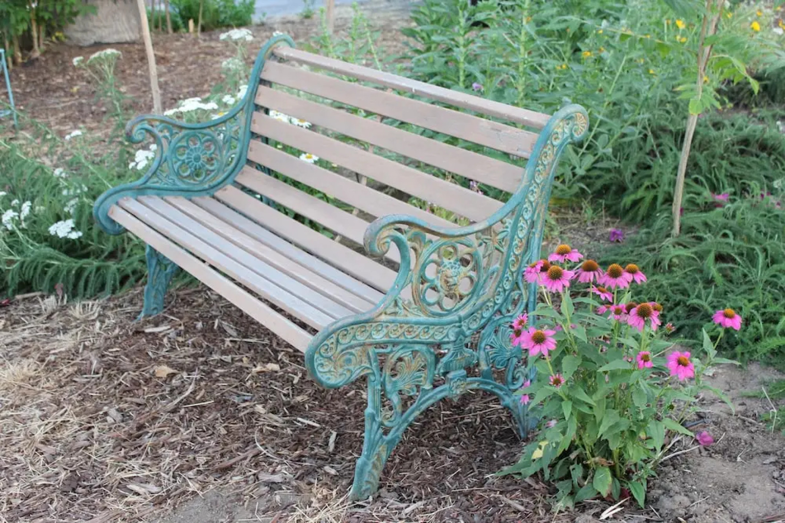 Sandra D's Country Guest House