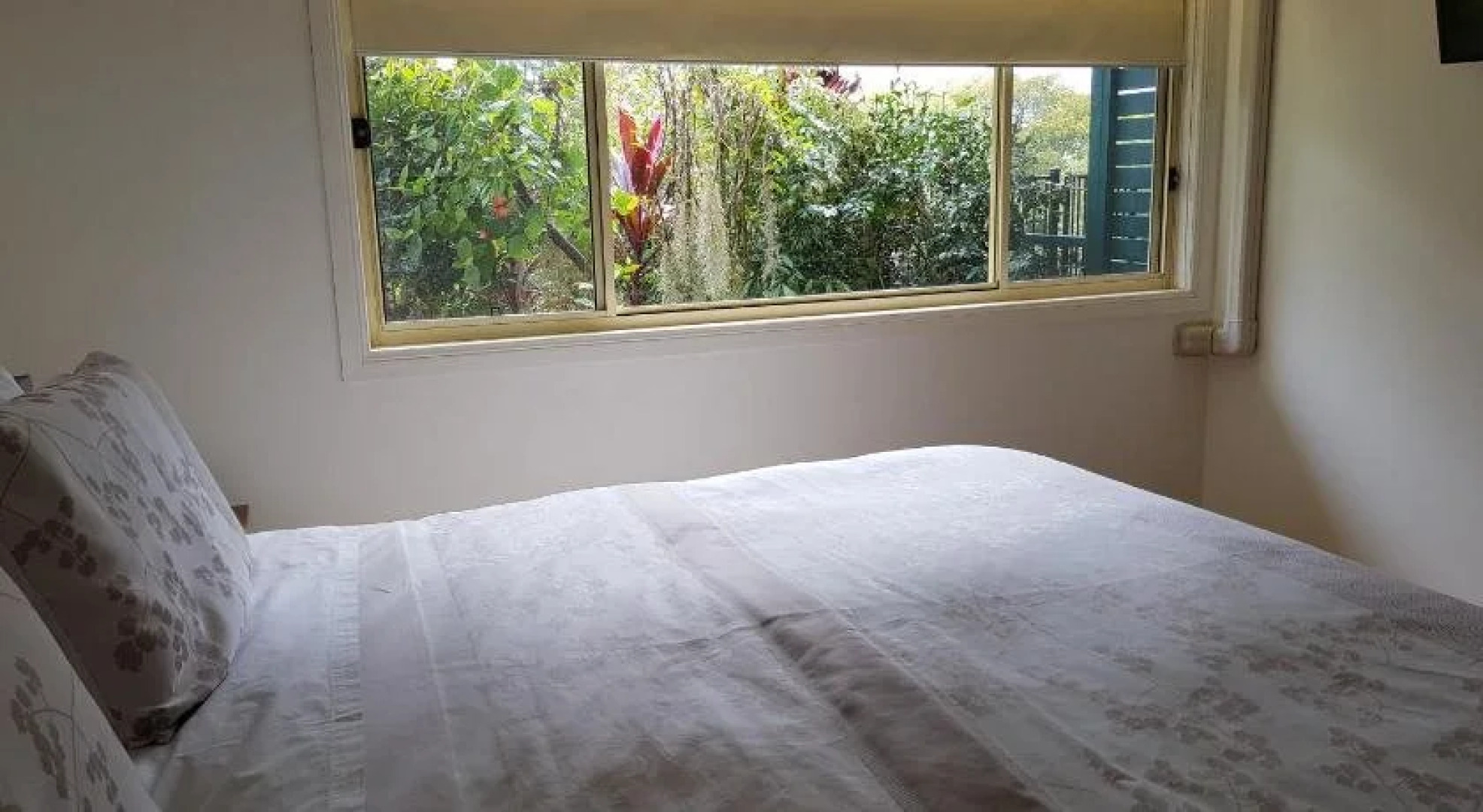 Tropical Coast Retreat