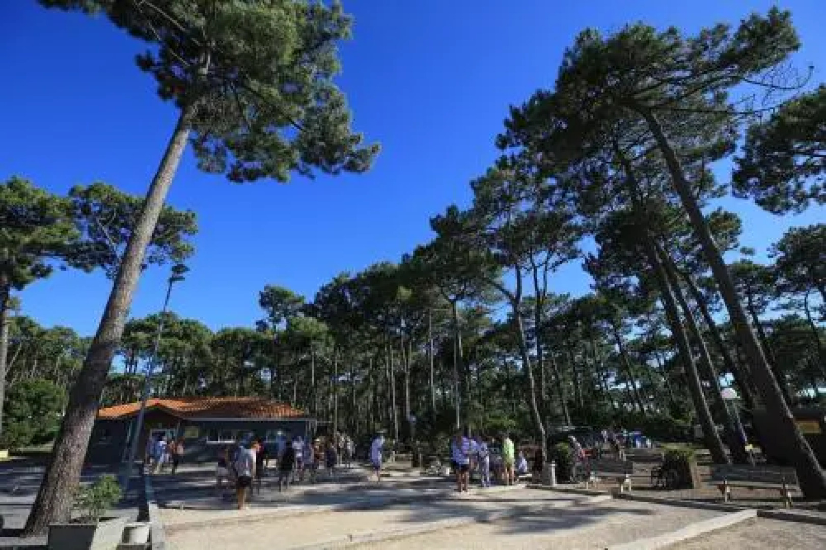 Camping Campole Plage Sud