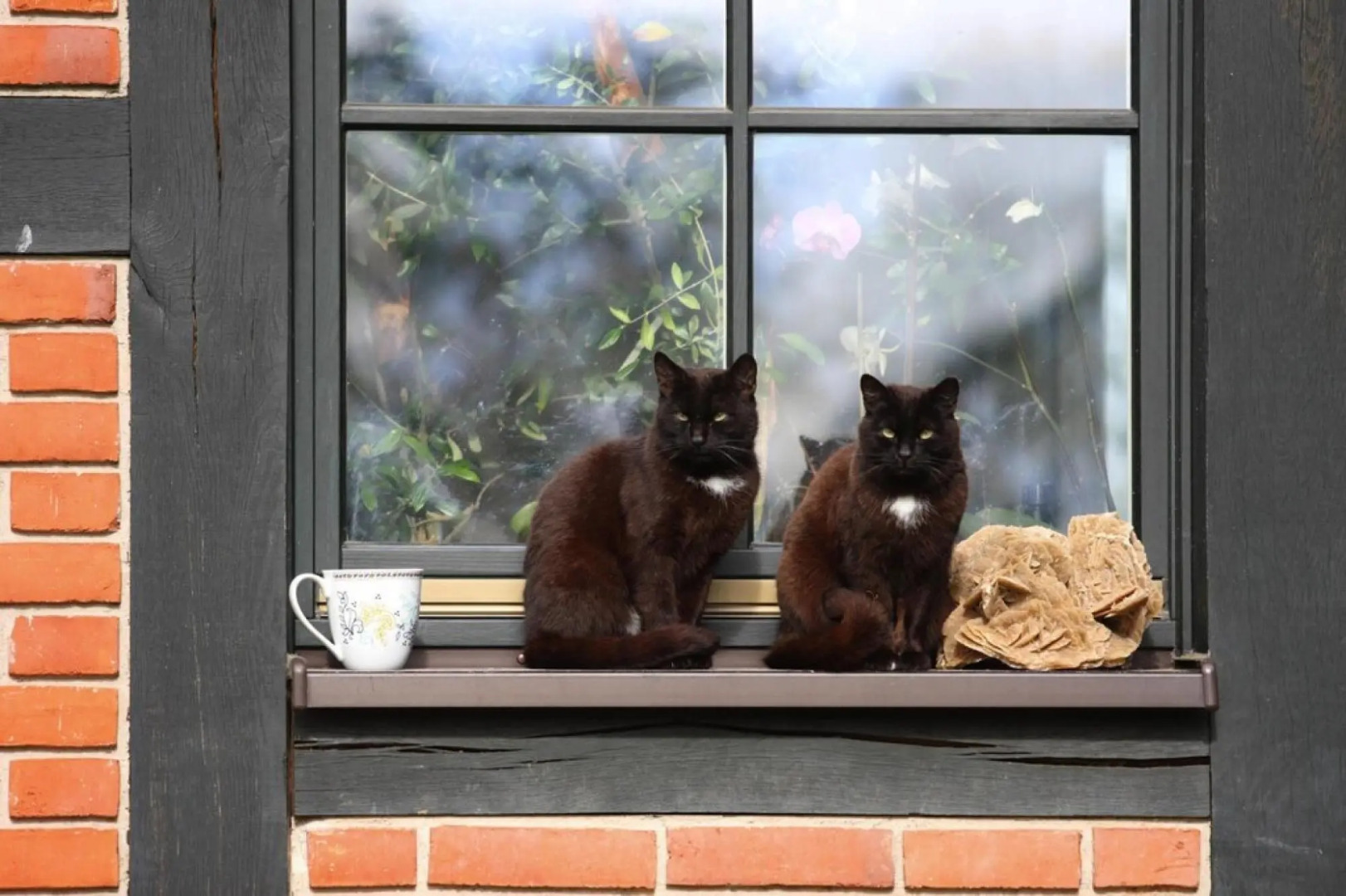 Semi-detached house Seestern, Lohmen