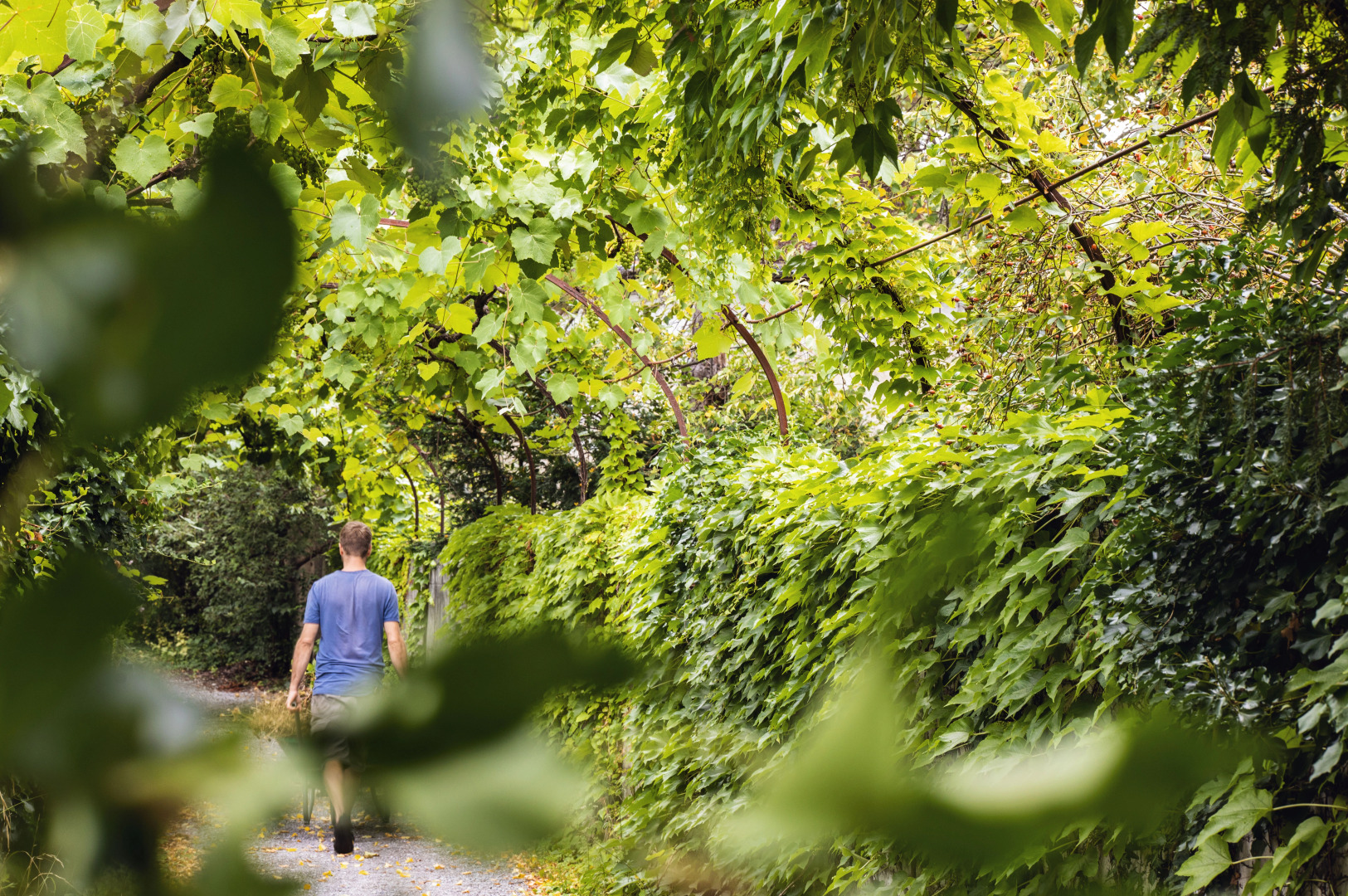 Hotel Odelya Basel (Ex.Bildungszentrum 21)