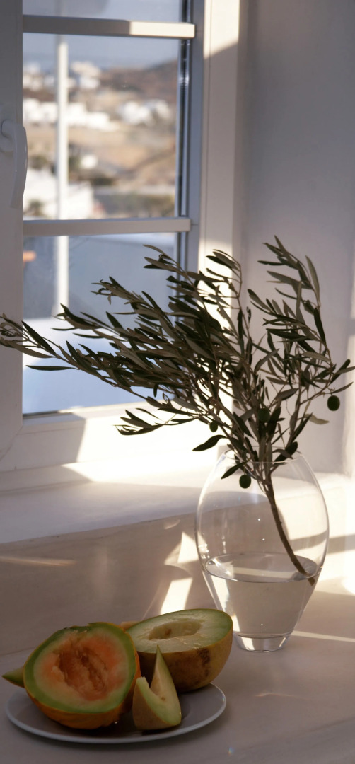 Mykonos Moussa Suites