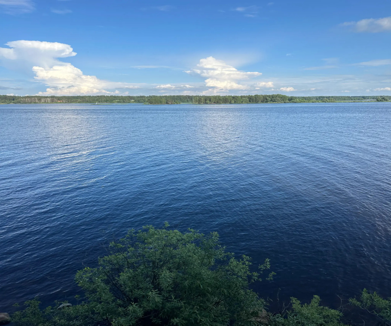 Усадьба Кожиных