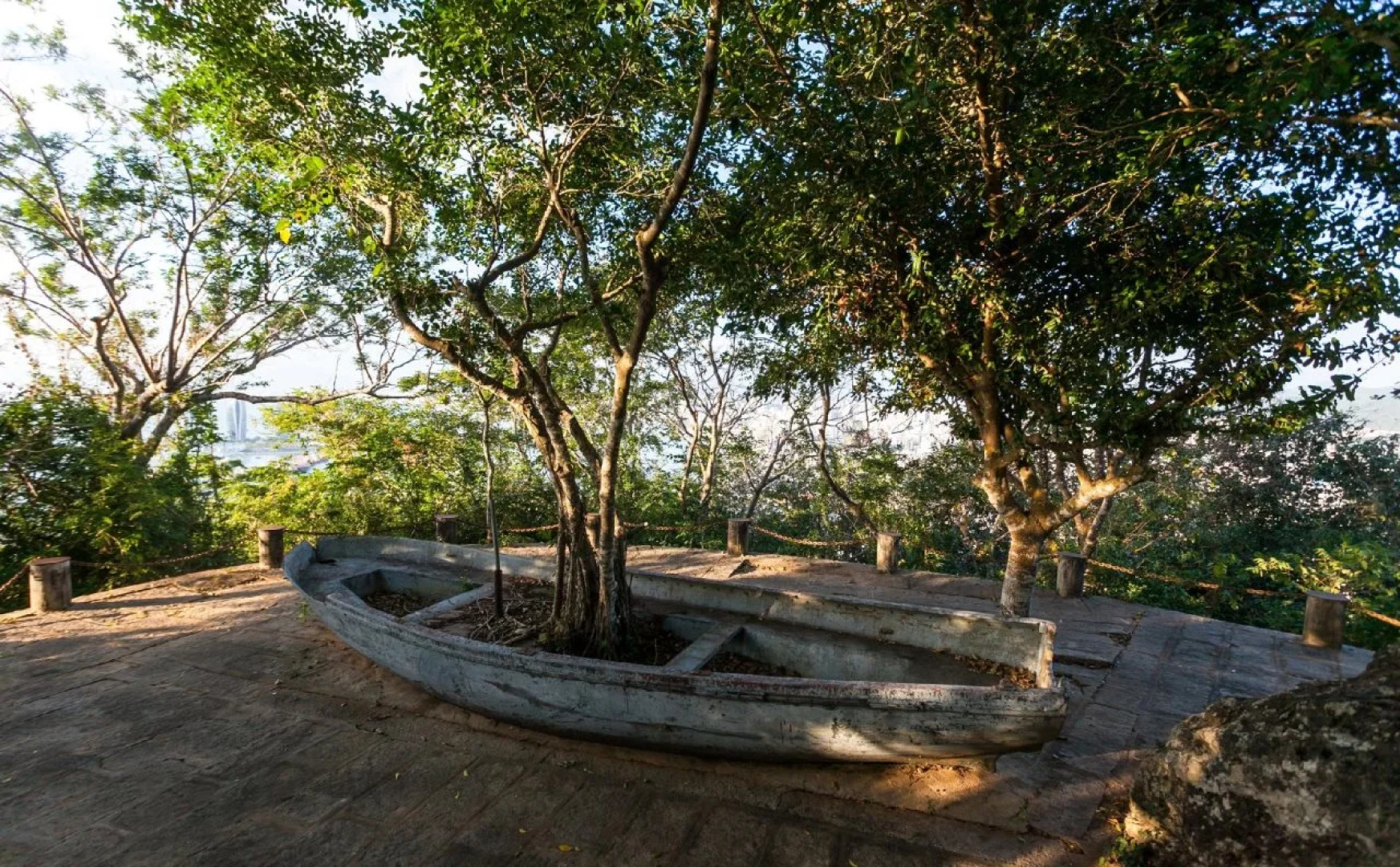 Raintree Backpacker Hostel