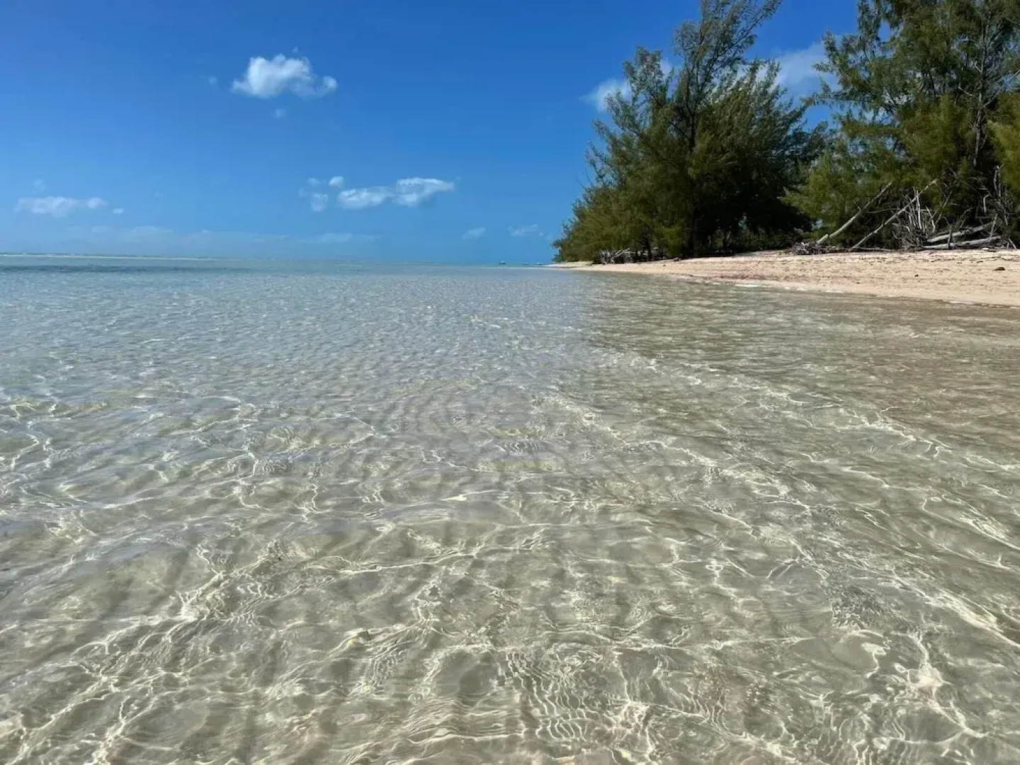 Blue Love Point 2br 2 Bedroom Apts