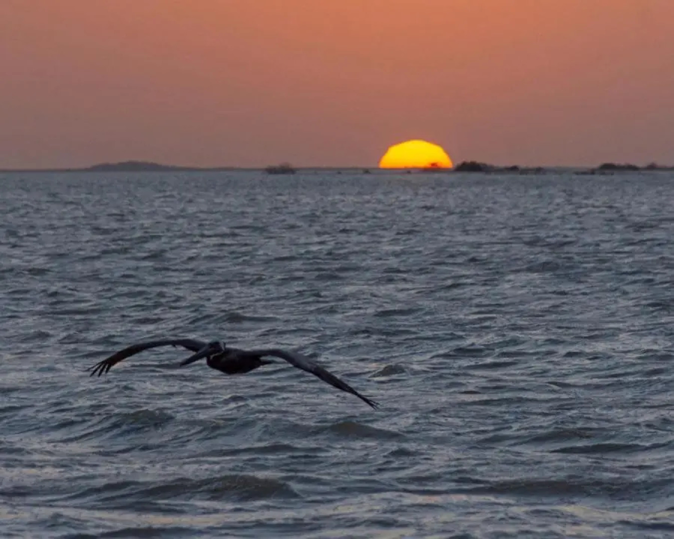 Cabañas del Mar a 50 Metros de la Playa
