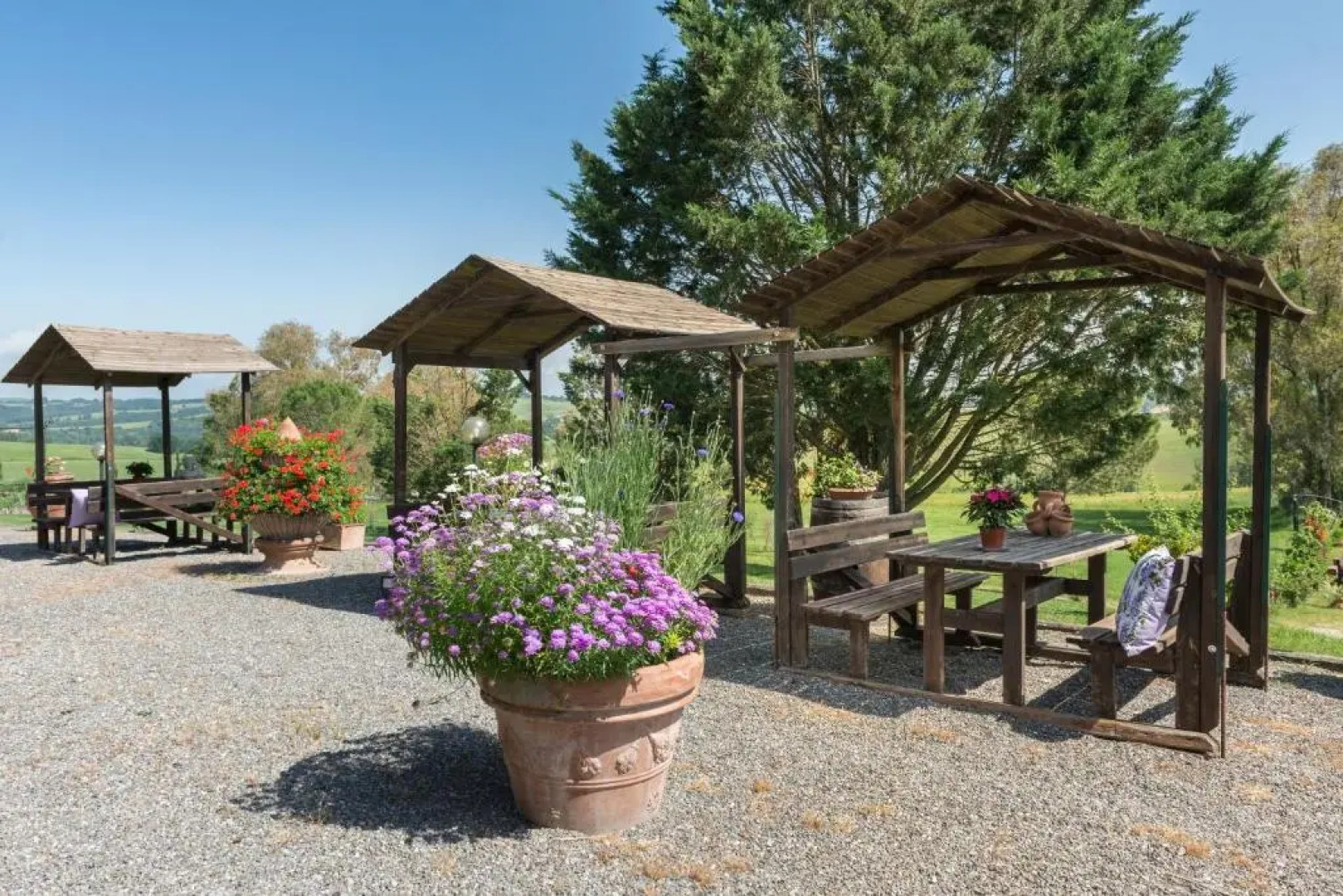 Wine Resort Colsereno