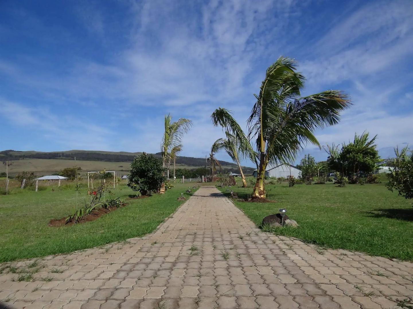 Cabañas Rapa Nui Orito
