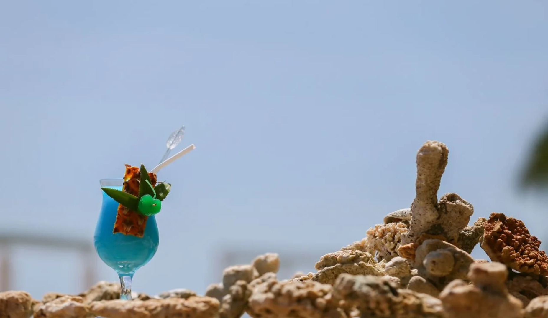 Coral Rock by Bansei