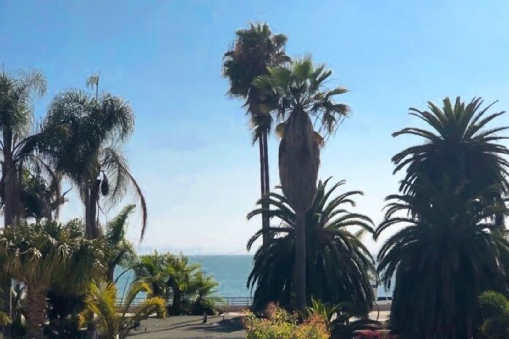 Ocean-View Hideaway W/ Lush Patio, Steps To Beach! Home