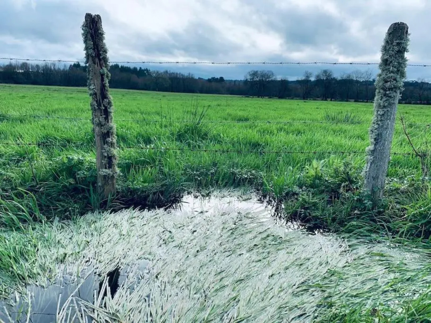 Casela de Villalba- casa rural