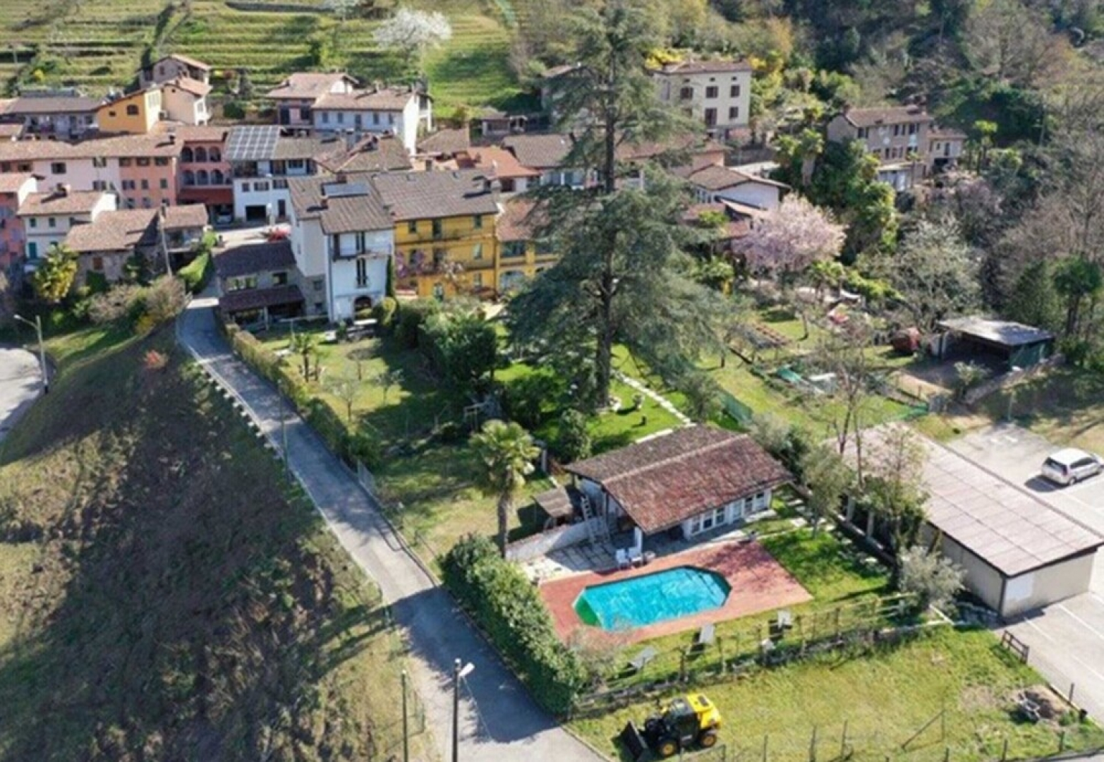 Palazzo dei Ulivi - Rosè