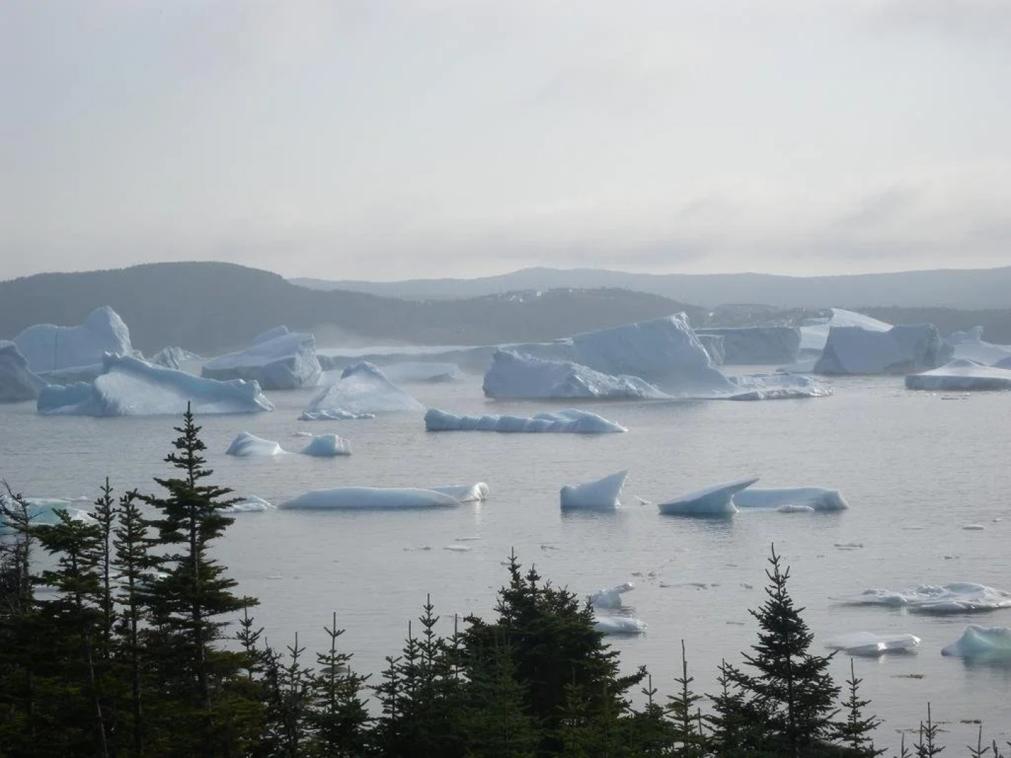 Wildberry Country Lodge B&B