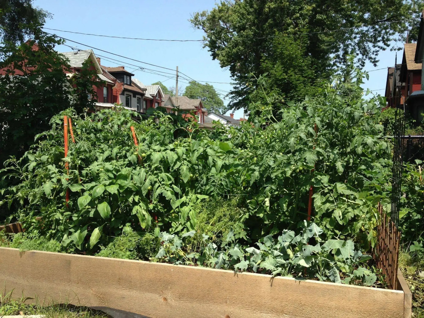 Pring Guesthouse - Hostel