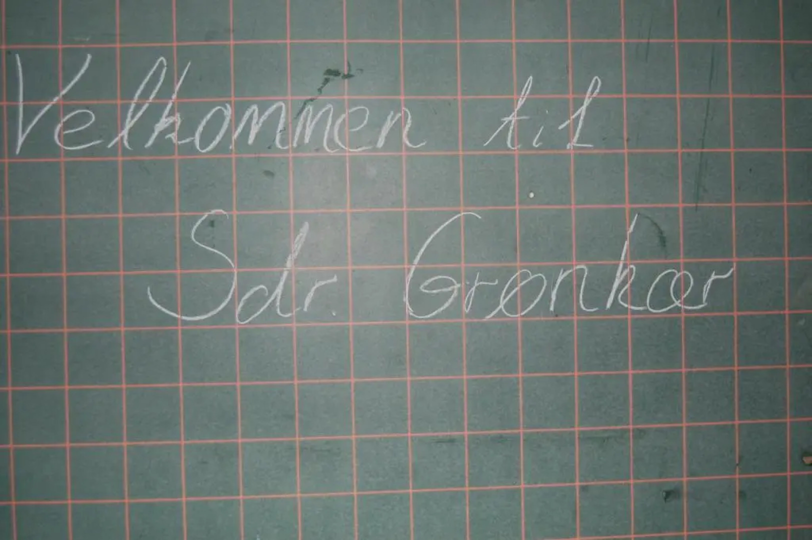 Sdr. Grønkær Bed & Breakfast